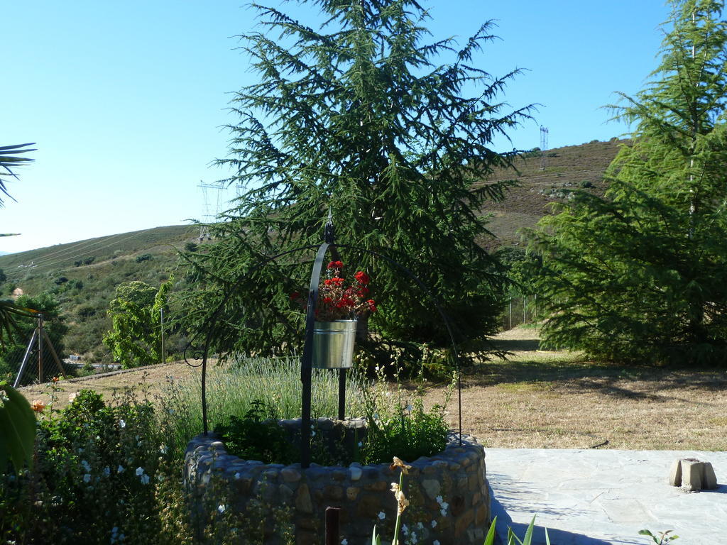 Pension Riego de Ambros Exterior foto
